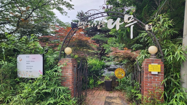 올드트리 사진 1