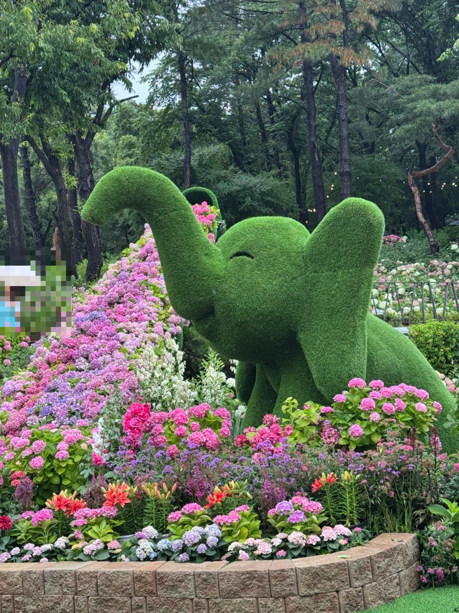가츠가츠 사진 3