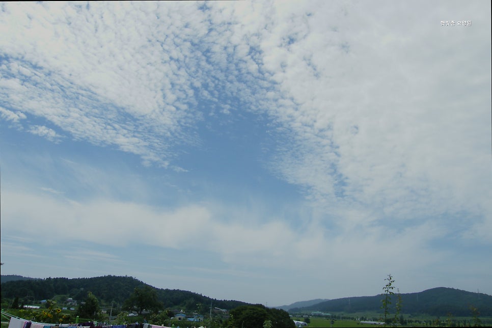 햇빛촌 사진 3