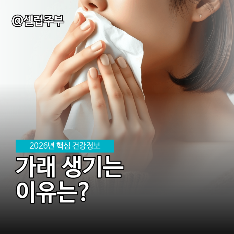 가래생기는이유 시니어 활력 위한 가래없애는법