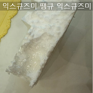 솔잎환 효능 솔잎분말 솔입추출물 솔잎증류농축액 솔잎알약 같은 소나무잎 효과 다른 이유