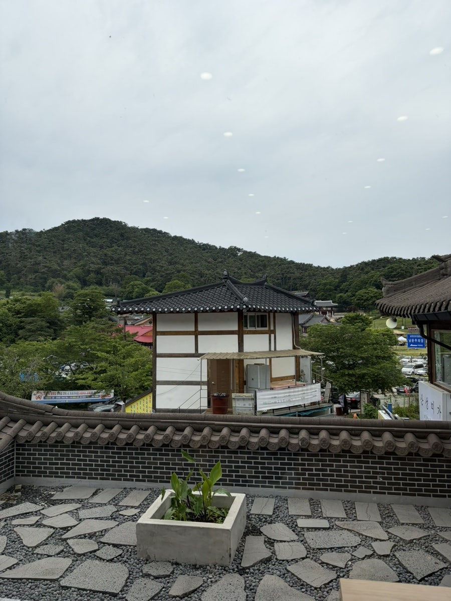 온반 사진 5