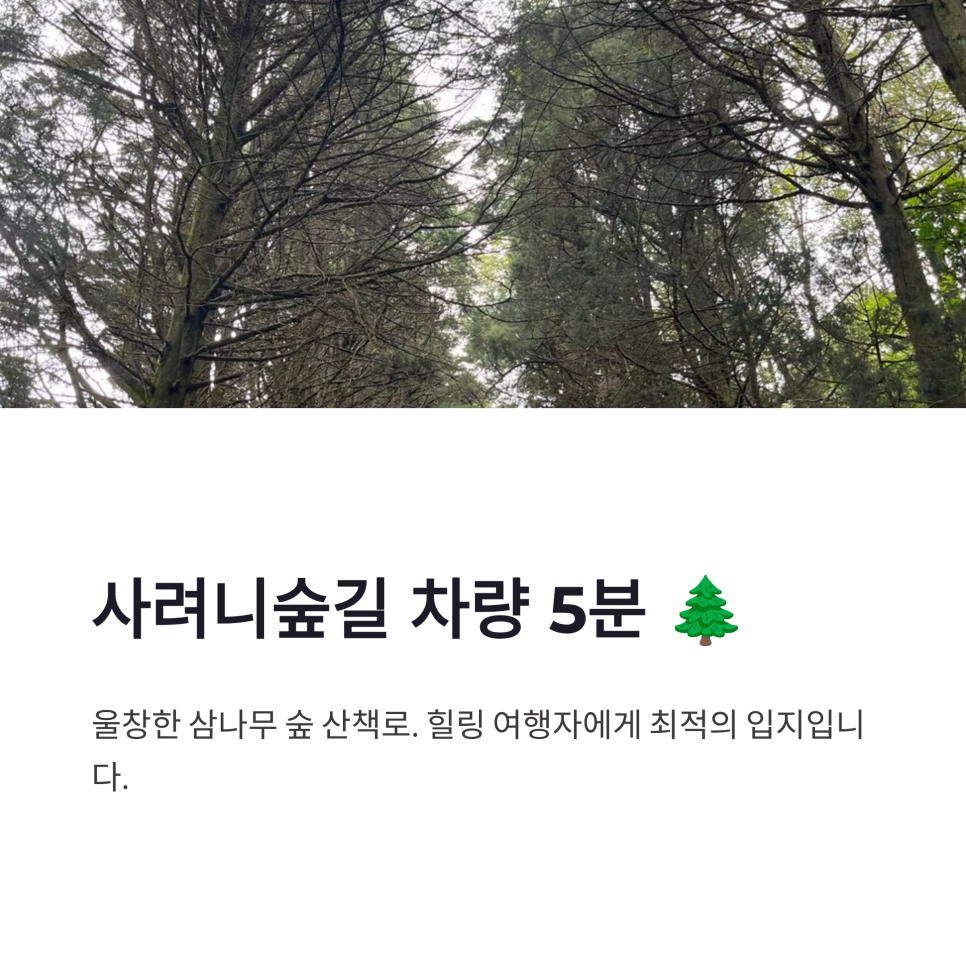 제주 여누스테이 사진 5