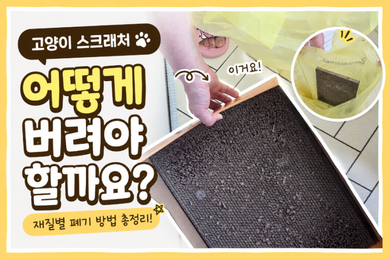 고양이 스크래처, 어떻게 버려야 할까요? 재질별 폐기 방법 정리!