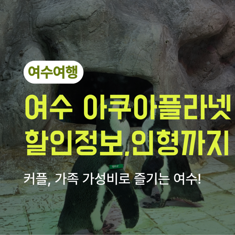[여수여행] 아쿠아플라넷 여수 가격할인부터 우파루파 인형 특전⭐