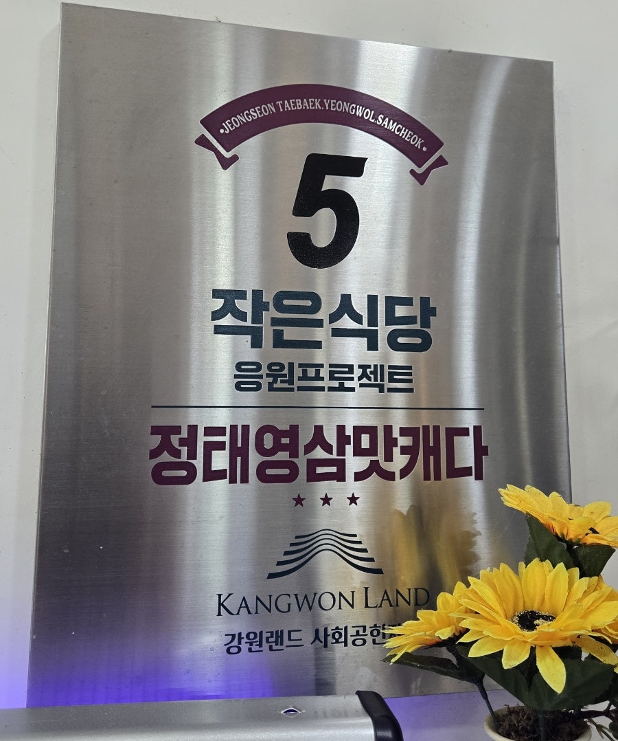 편백숲 사진 2