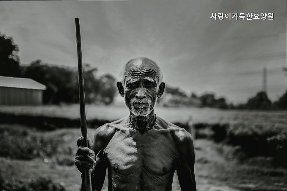 사랑이가득한요양원 사진 3
