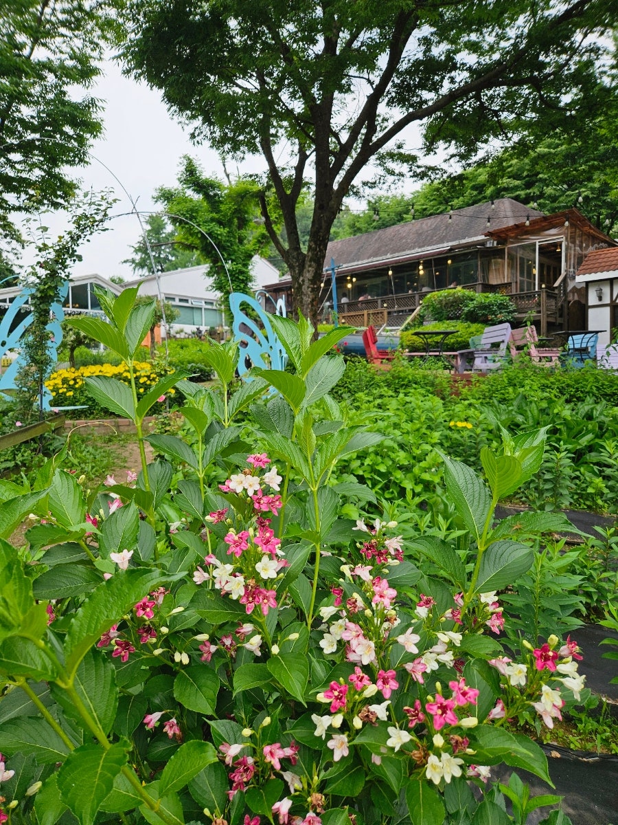 강마을다람쥐 팔당본점 사진 2