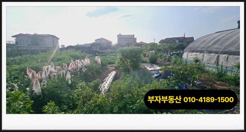 안골 사진 4