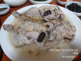 닭터 사진 4