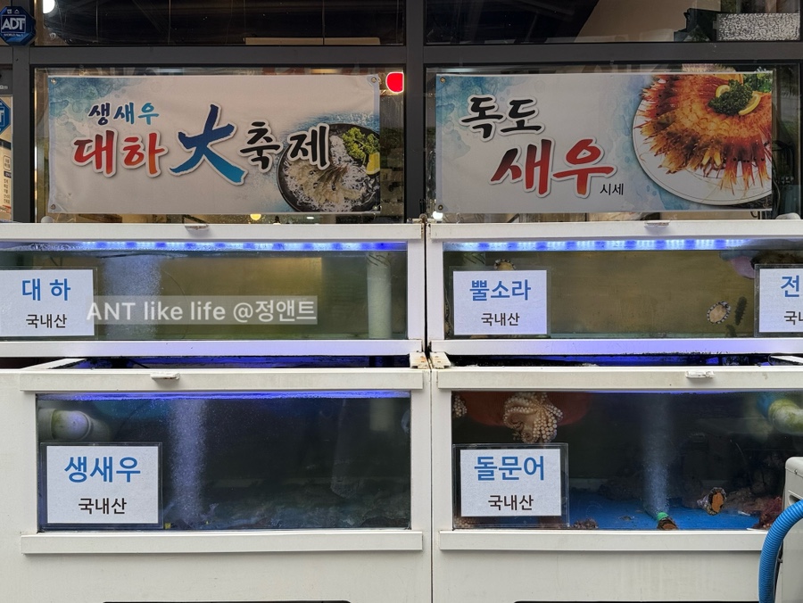 어부돛단배 사진 5