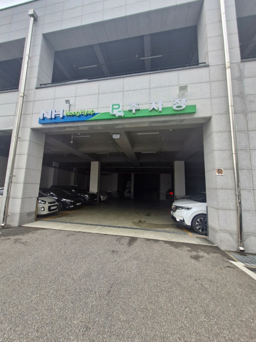 점핑점핑 사진 4