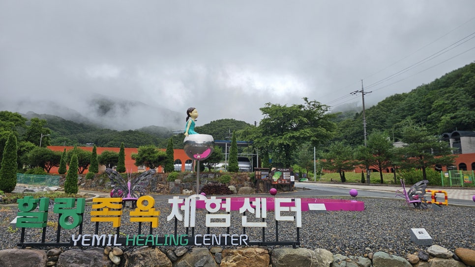 예밀다움 사진 2