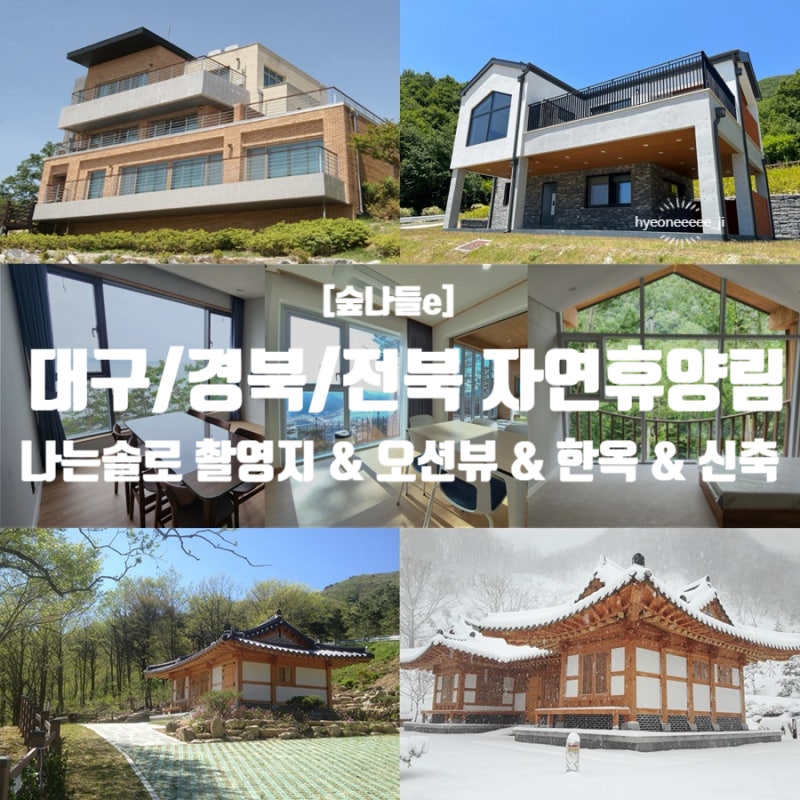 [대구/경북/전북 신축 오션뷰 자연휴양림 추천] 숲나들e 선착순 예약 방법 및 뷰 맛집 숙소추....