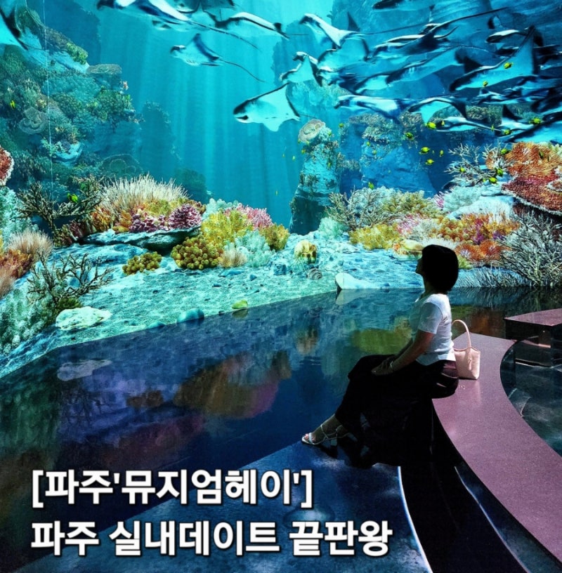 [파주]뮤지엄헤이_파주 아이와 가볼만한곳, 실내데이트 코스 추천, 미디어아트 전시관