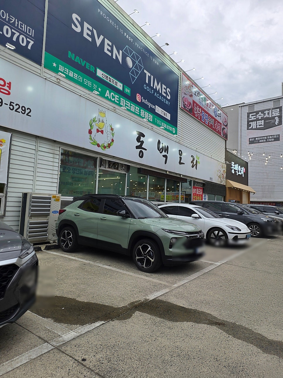 동백오리 사진 1
