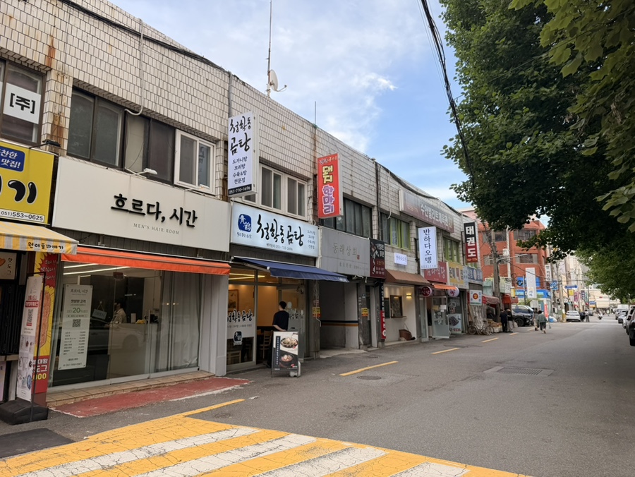 돼지한마리 사진 2
