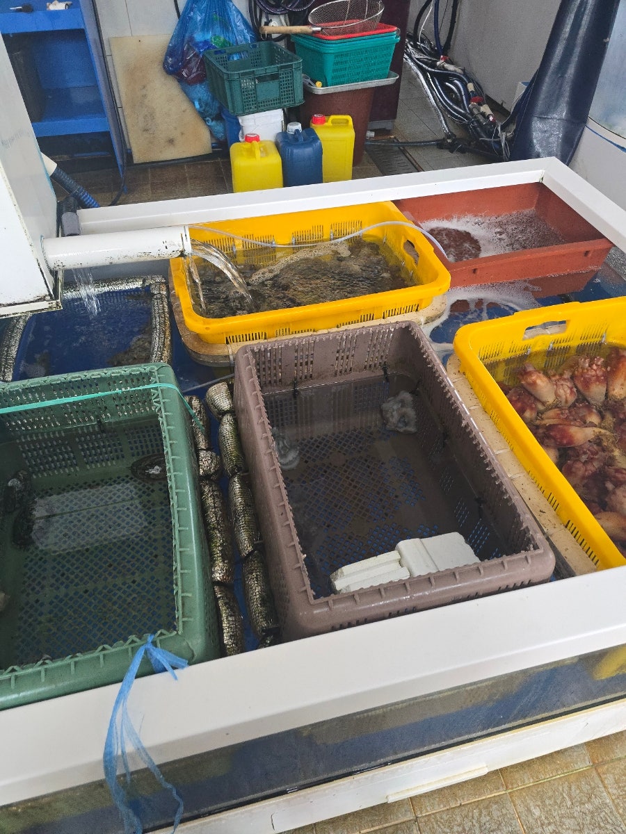 구룡수산 사진 3