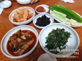 닭터 사진 5