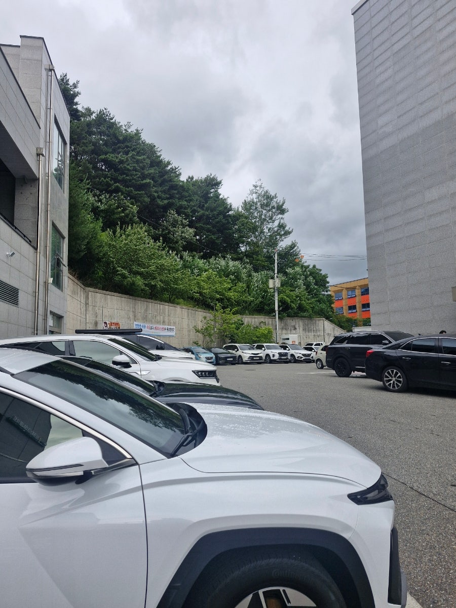 점핑점핑 사진 5