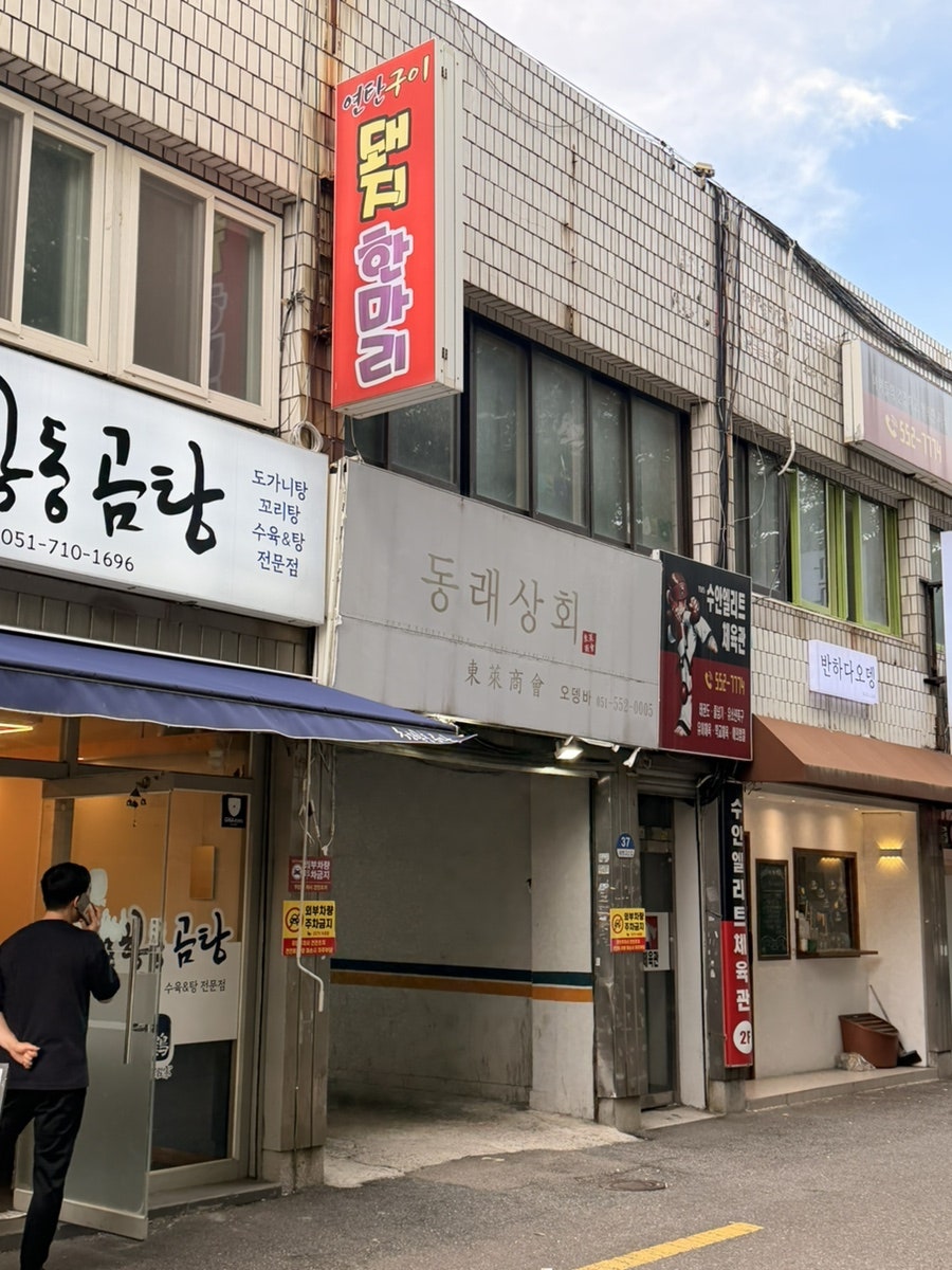 돼지한마리 사진 3