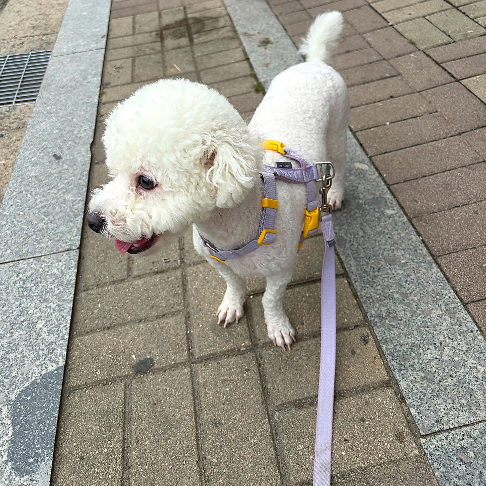 텐퍼센트커피 마포성산점 사진 2