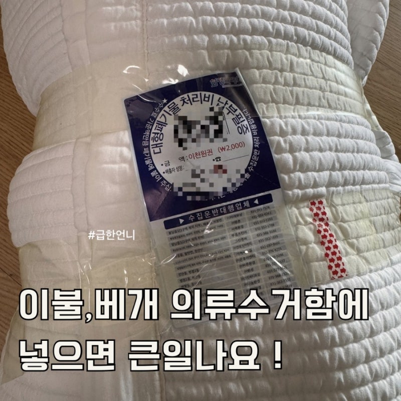 차렵이불, 베개 의류수거함 넣으면 과태료? 올바른 이불 버리는 법 총정리