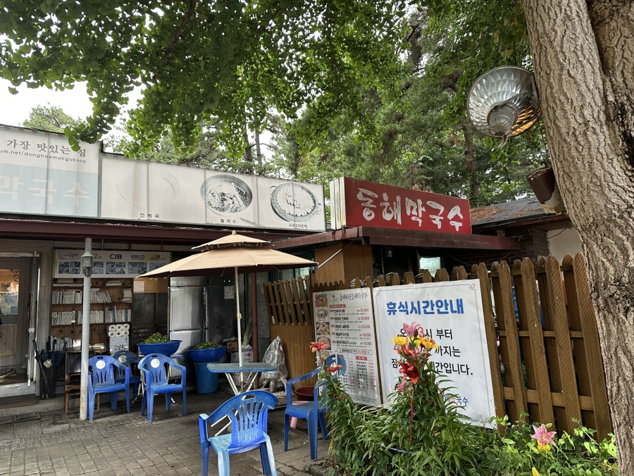 메밀향 사진 3