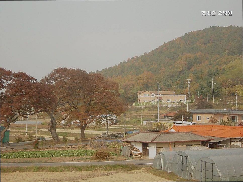 햇빛촌 사진 2