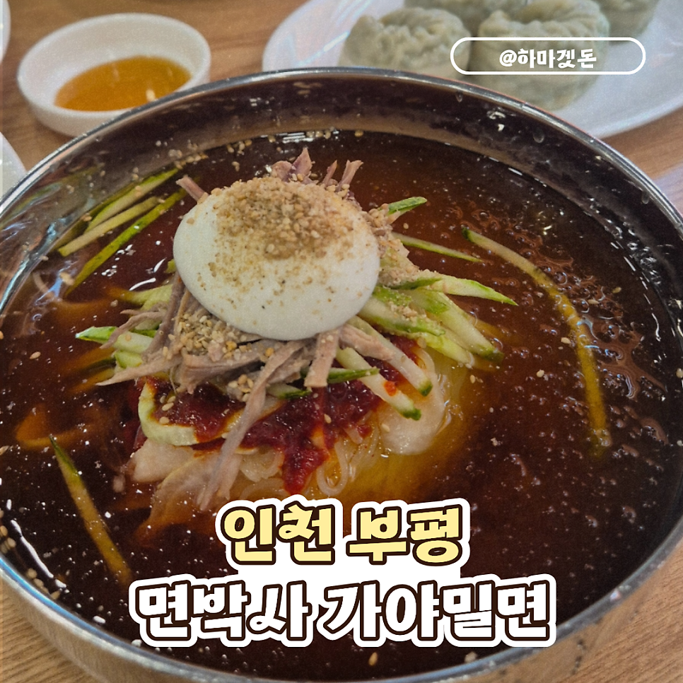 면박사가야밀면 사진 1
