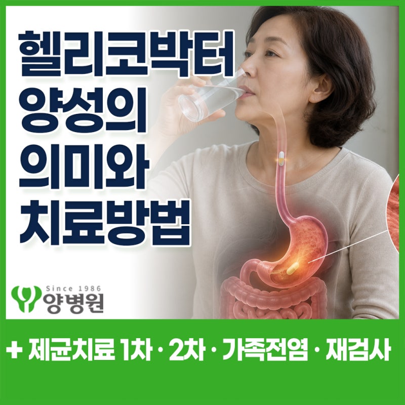 헬리코박터균 양성의 의미와 치료방법, 치료를 안 하면 어떻게 될까요? | 강동구 내과