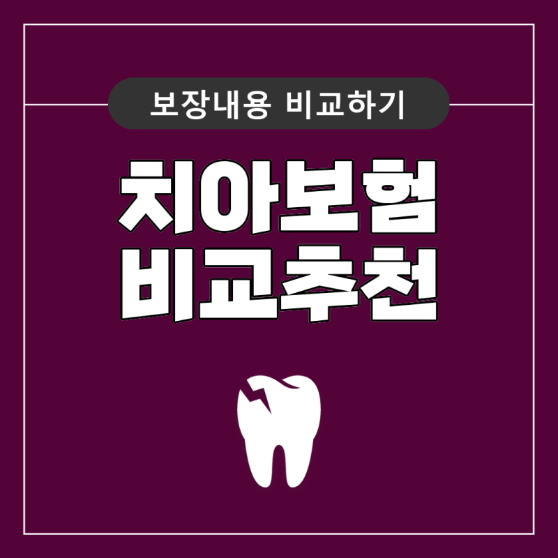 치아보험비교사이트 보험료 적용 청구 꼼꼼하게 비교하고 선택해보세요