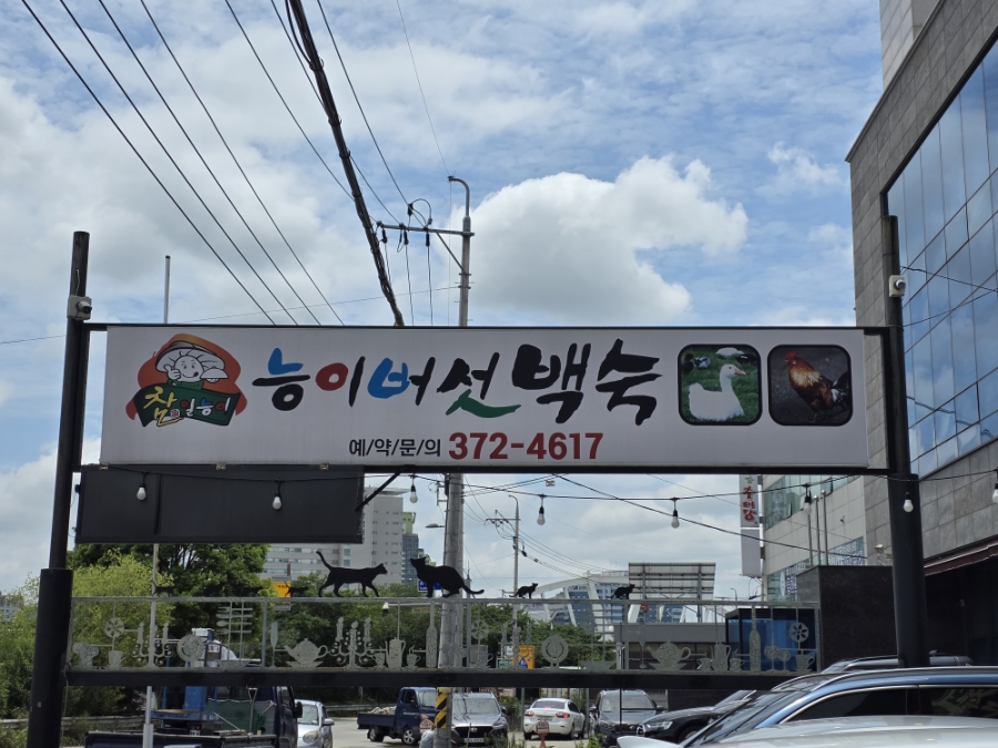 참일능이 사진 1