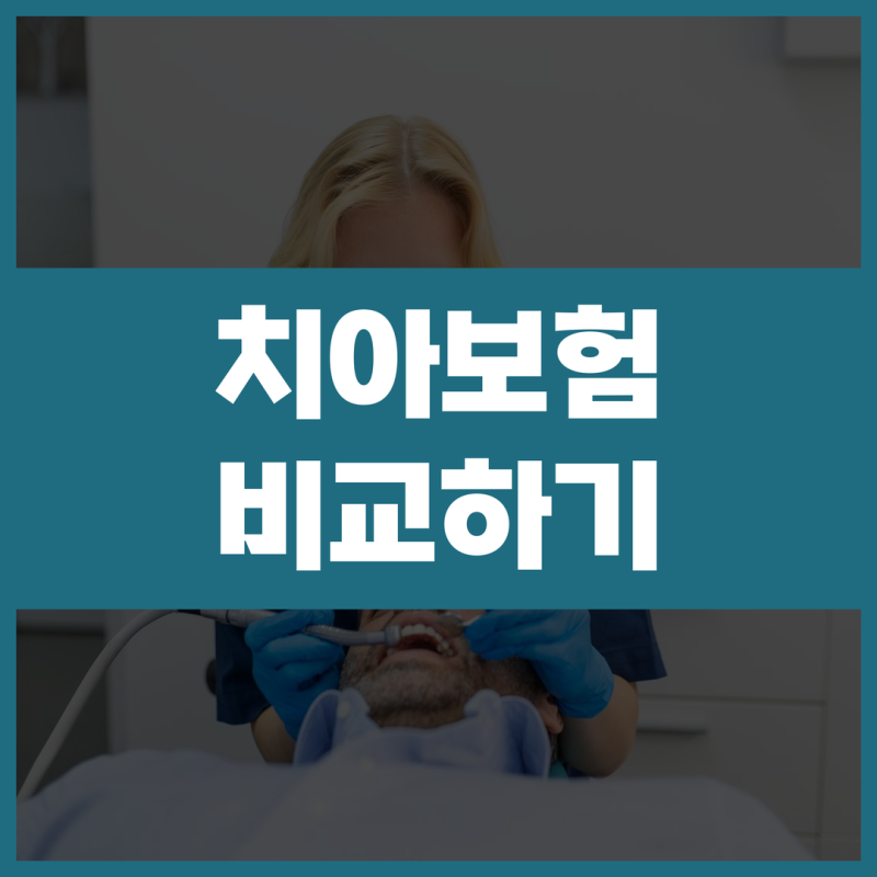 치아보험비교사이트 보험료 적용 청구 상세한 보장내용 확인하기