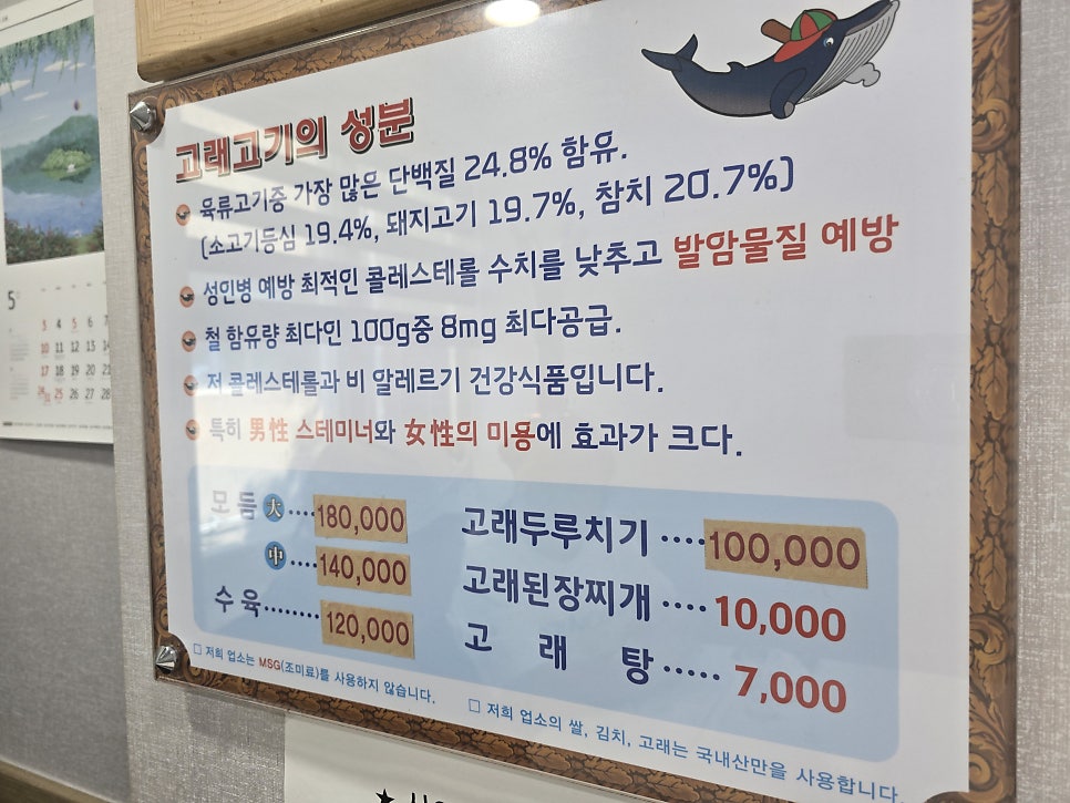 백경 사진 2