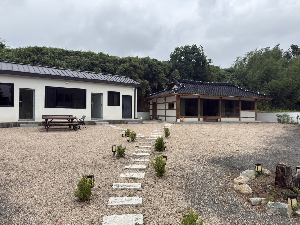 문동담박 사진 2
