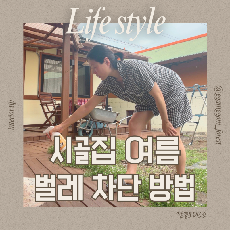 "다이소템 5,000원으로 해결!" 시골주택 여름 벌레 유입 90% 차단하는 법