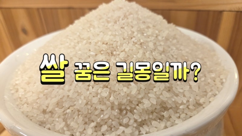 쌀 꿈해몽, 곡물 꿈해몽 & 쌀 받는 꿈부터 쌀 씻는 꿈까지