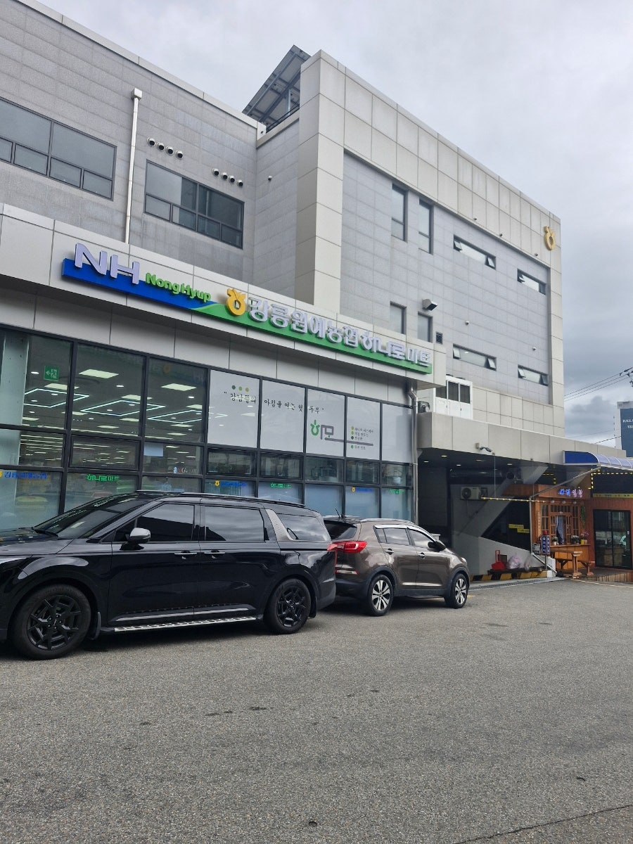점핑점핑 사진 2