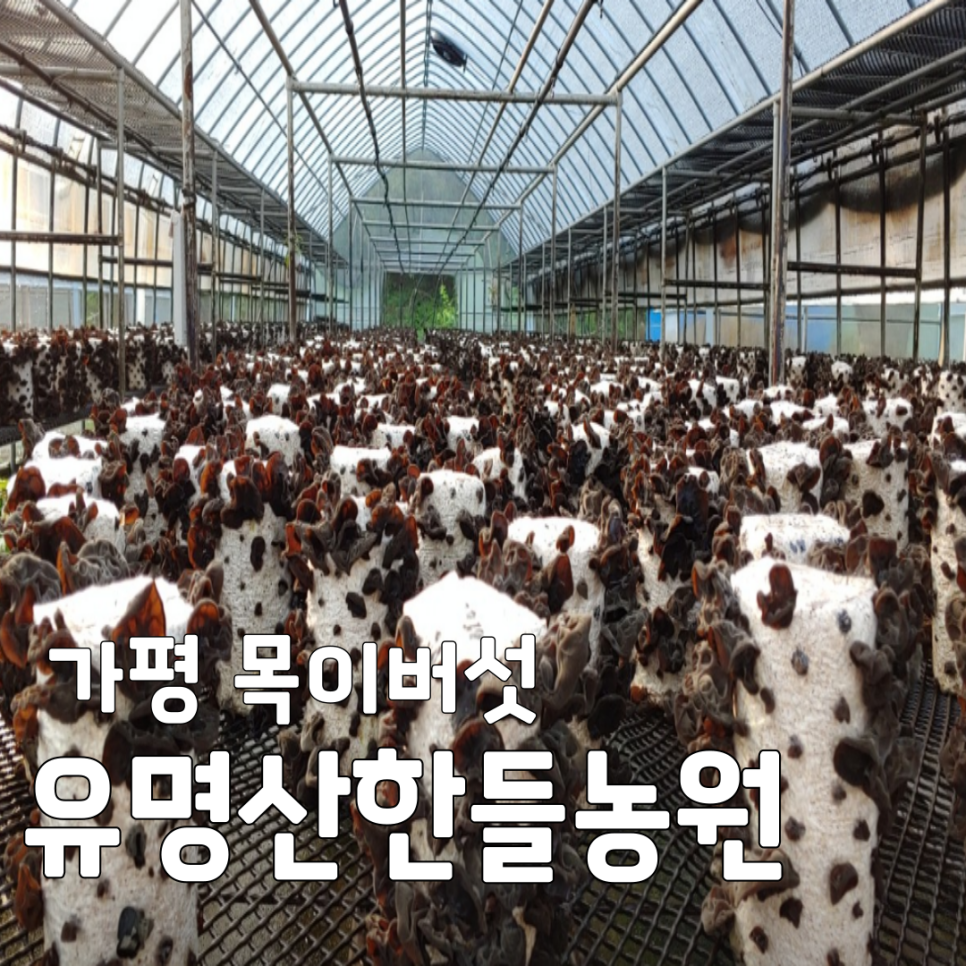 한들농원 사진 1