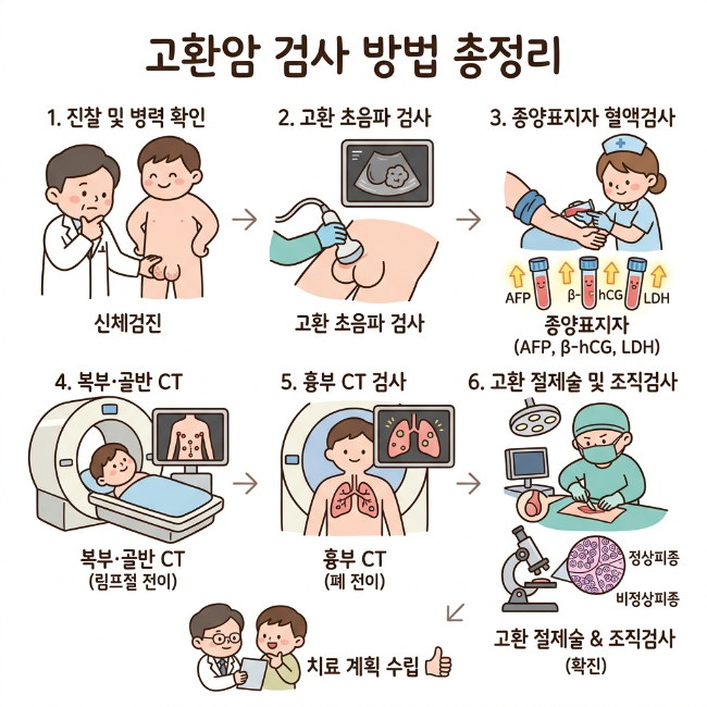 고환암 검사 방법 총정리｜초음파·종양표지자·CT 검사 과정 이해하기