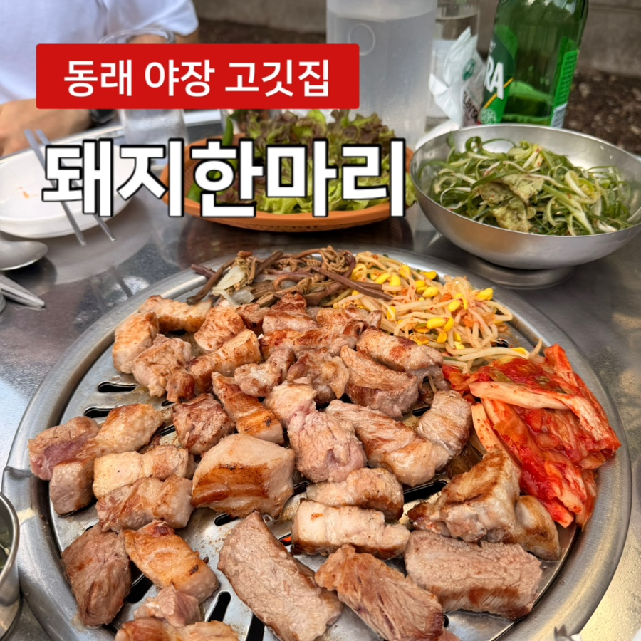 돼지한마리 사진 1