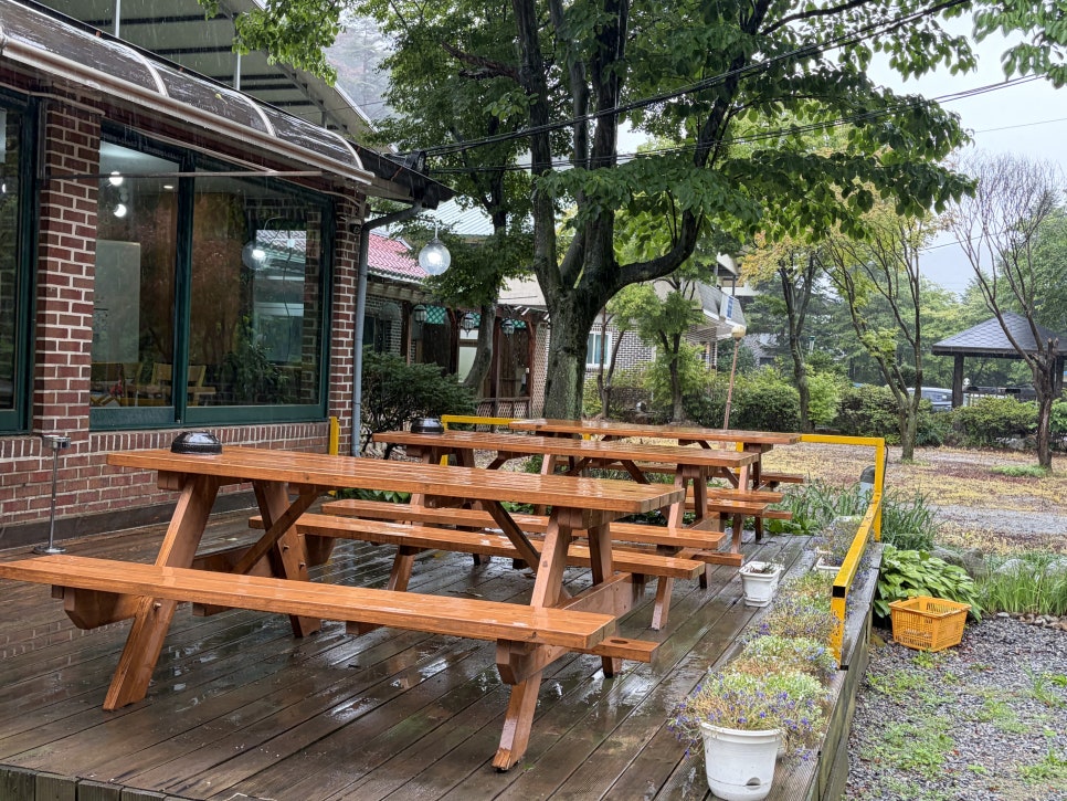 상촌막국수토종닭 사진 4