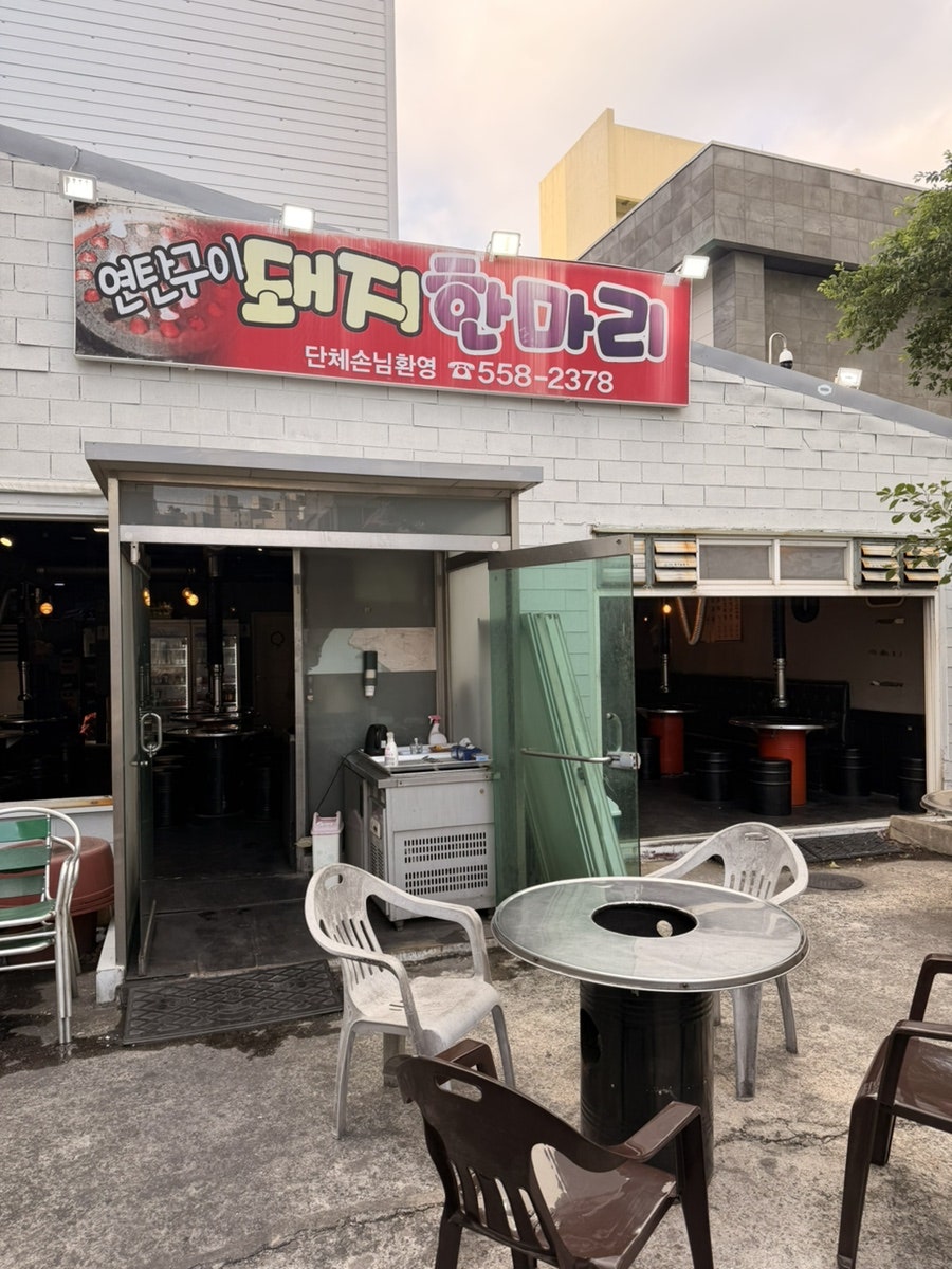 돼지한마리 사진 5