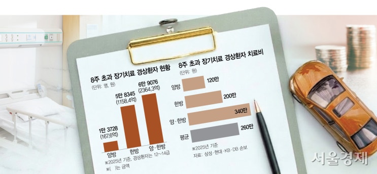 치료 8주 넘긴 경상환자 10명 중 9명 한방병원행…‘8주룰’ 표류에 새는 보험금