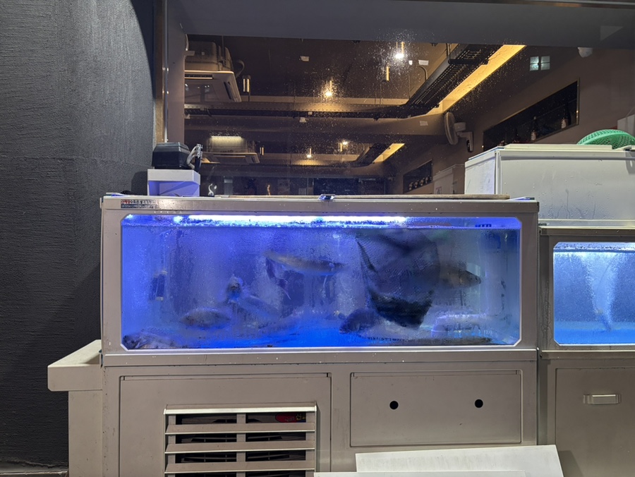 세이하 사진 2