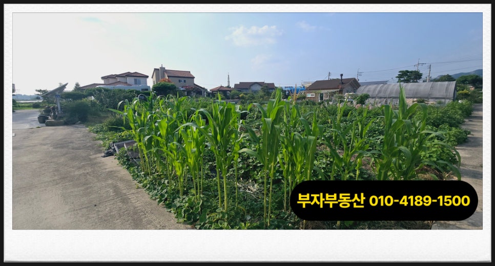 안골 사진 2