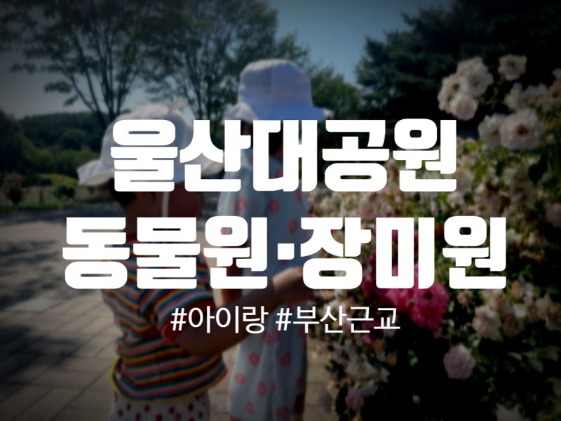 부산 근교 아이랑 가볼만한곳｜울산대공원 동물원, 장미축제 끝나고 가니 더 좋아
