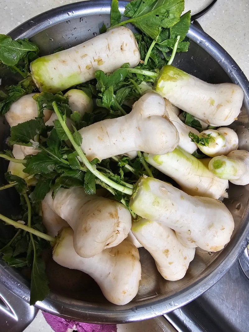 여름철 입맛 돋우는 총각무김치 담그는 방법 양념과 풀국 비법, 아삭한 총각김치 맛있게 담....