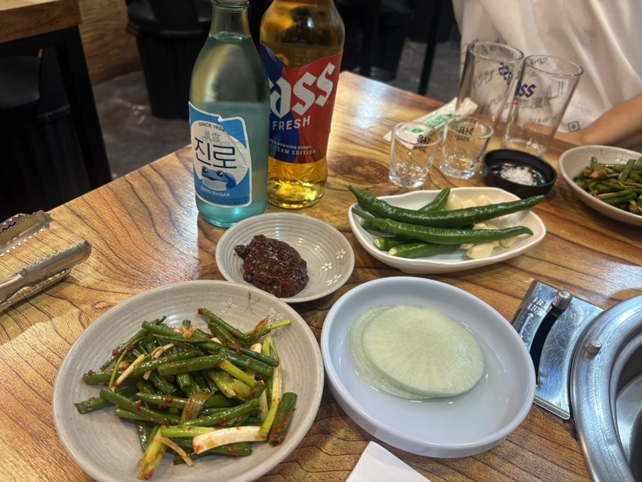 가야갈매기 사진 5